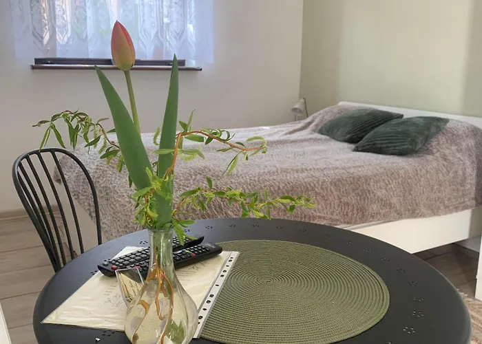 Деревянный коттедж Jasminowa Przystan *